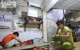 Khu phòng trọ điều hòa giá 15.000 đồng/ngày giữa Hà Nội nắng nóng